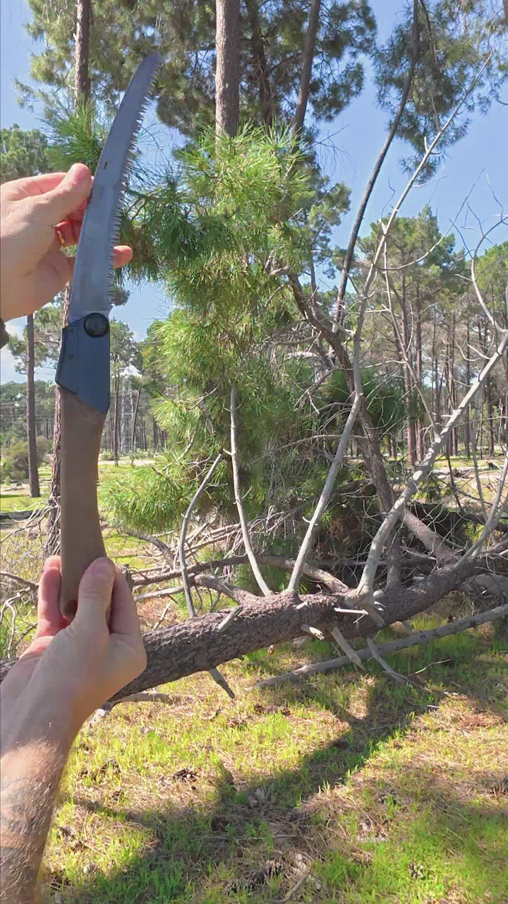 fallback text for a video