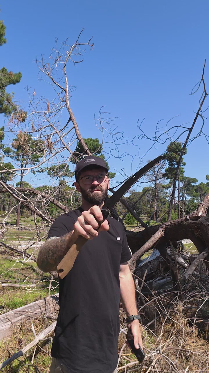 fallback text for a video