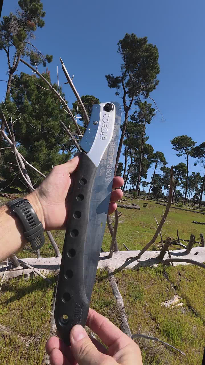 fallback text for a video