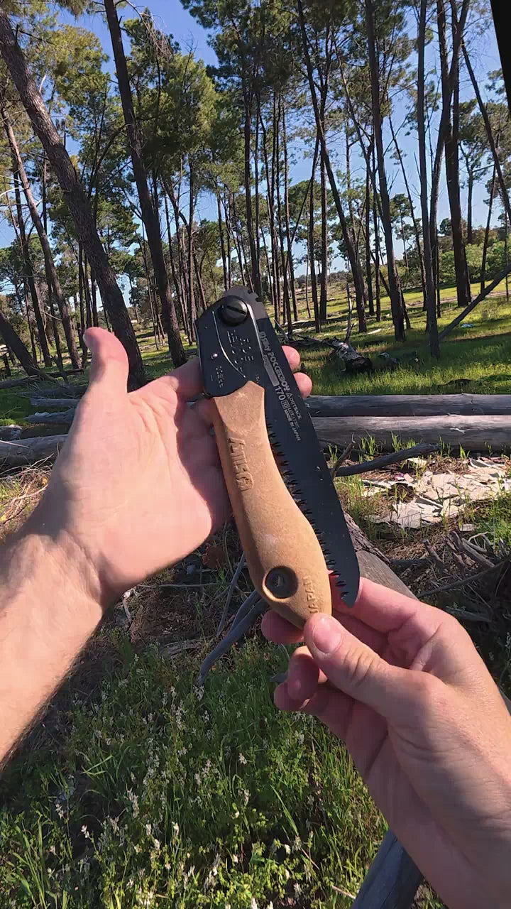 fallback text for a video