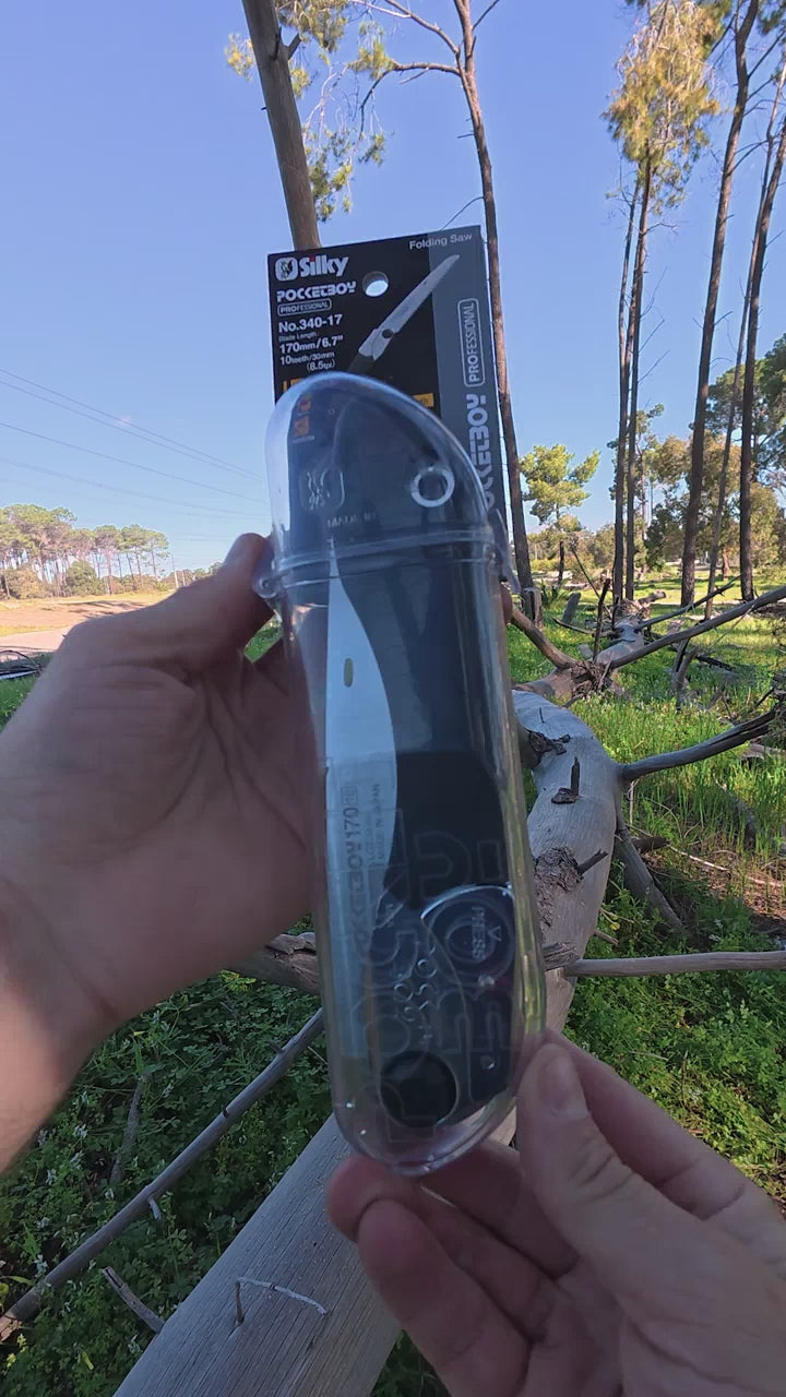 fallback text for a video