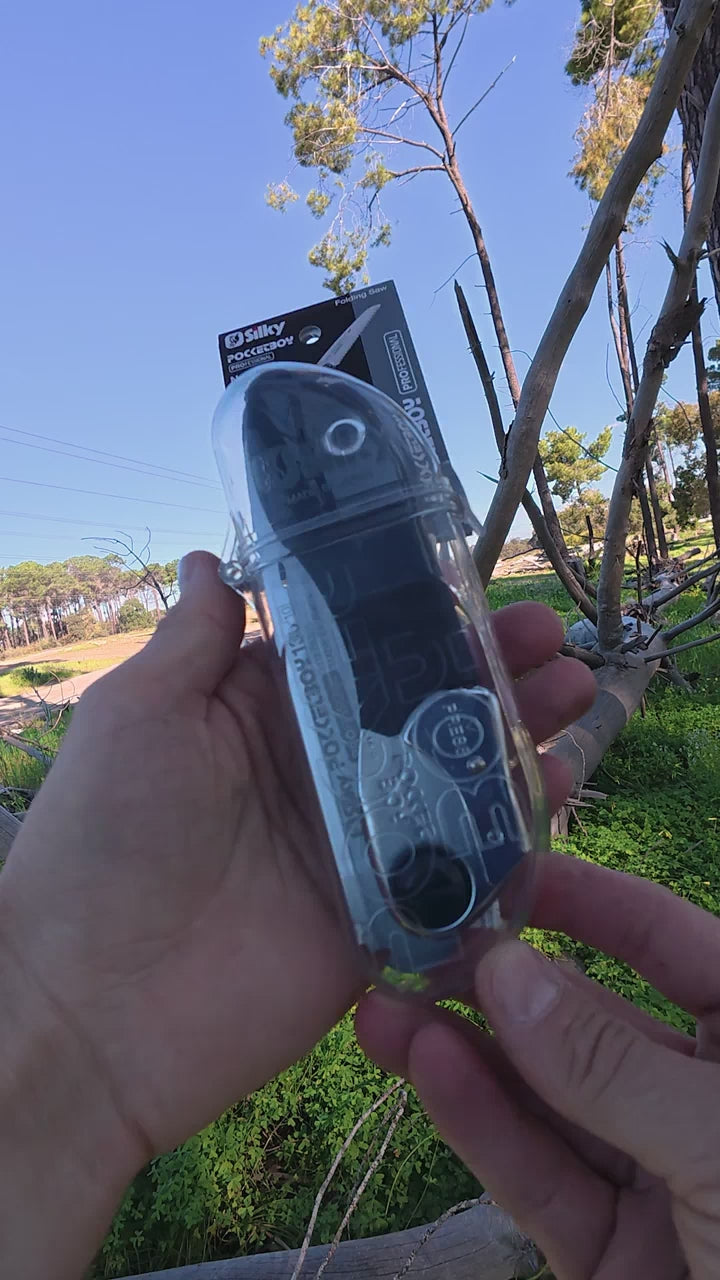 fallback text for a video