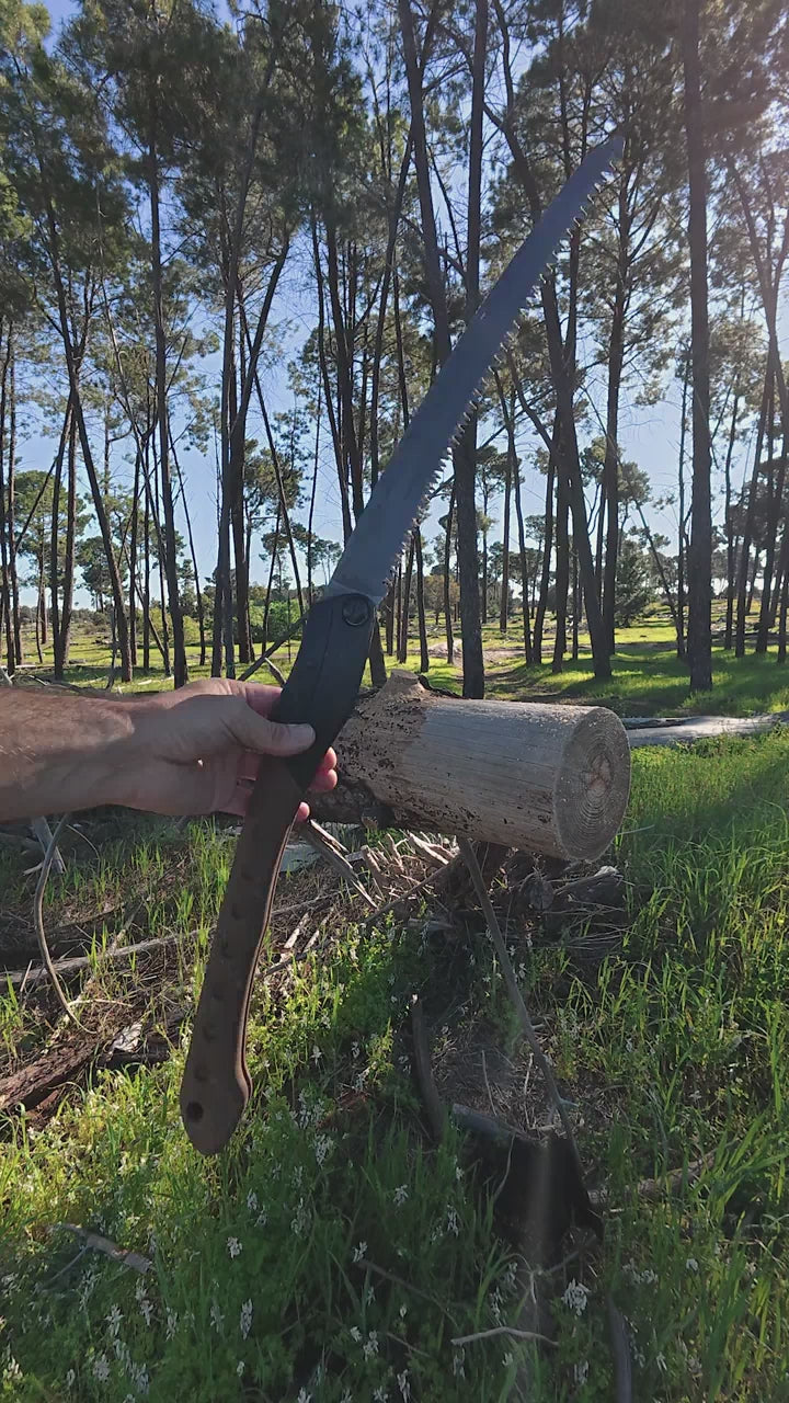 fallback text for a video