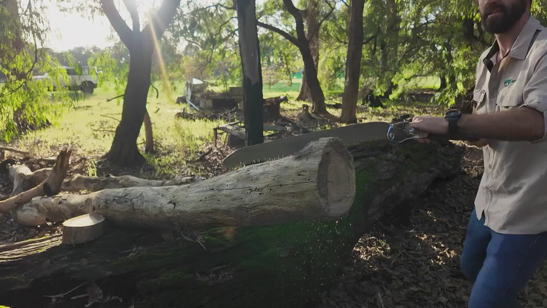 fallback text for a video