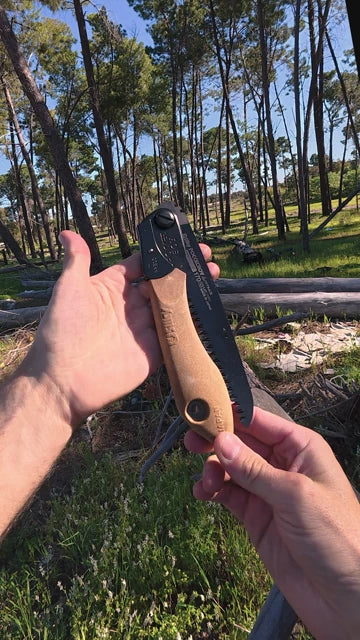 fallback text for a video