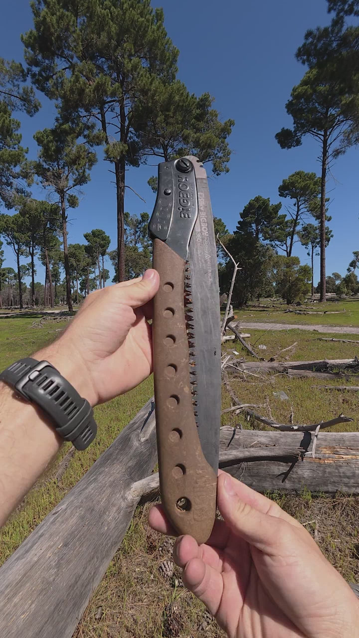 fallback text for a video