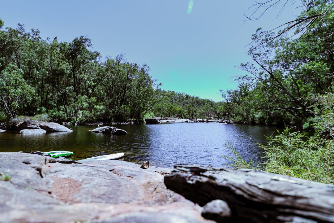 Dwellingup Power Lines Track and A Watering Hole
