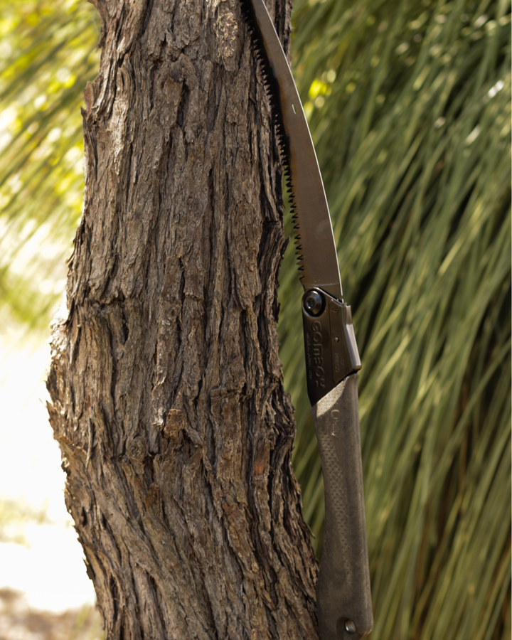 Limited Edition Silky Kuro Gomboy | 240mm